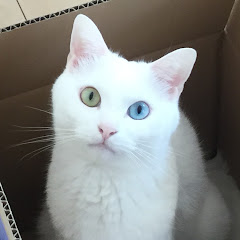 青