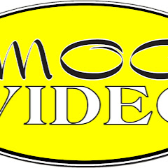 Mocvideo Productions Avatar