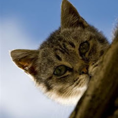 世界のきになる一日