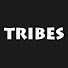 QdGe9yuhNQQ-channel-avatar-Tribes Sound & Lights Video
