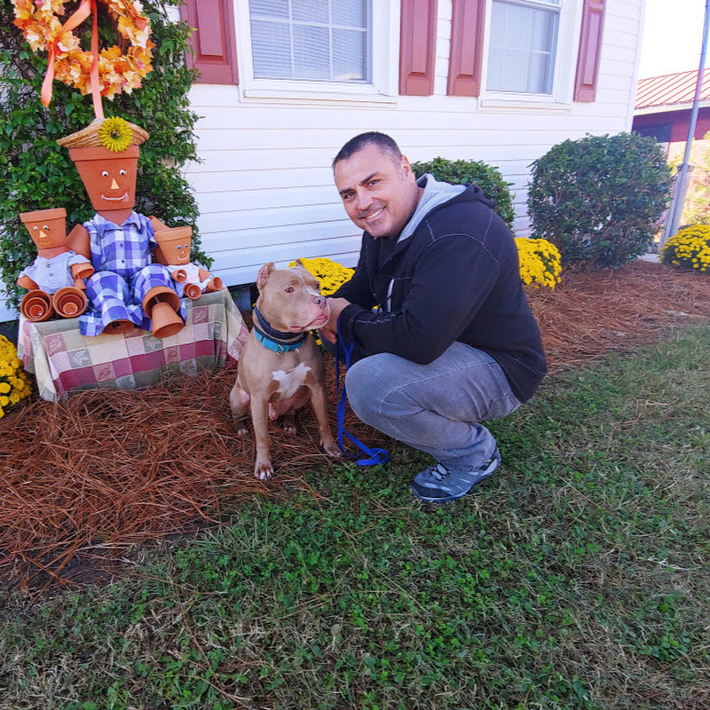 Jeff Coltenback Dog Training