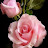 @omarbasbous5311