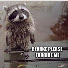 hpH8BqVYvoE-channel-avatar-Lexacoon