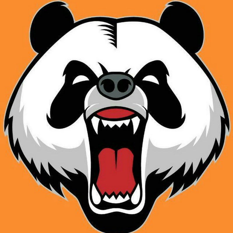 Mystic PandaX