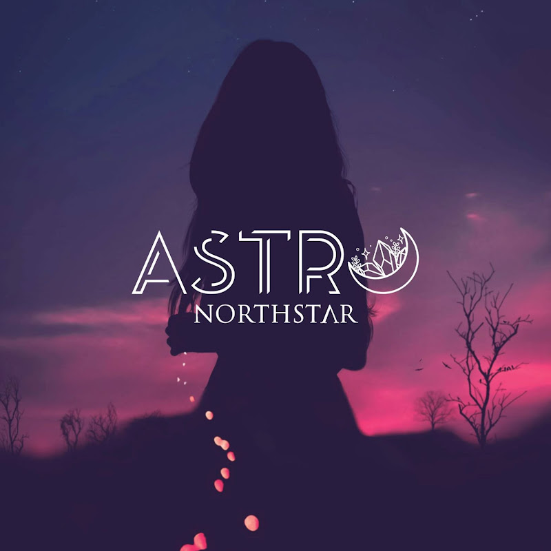 Astro Northstar VLOGS