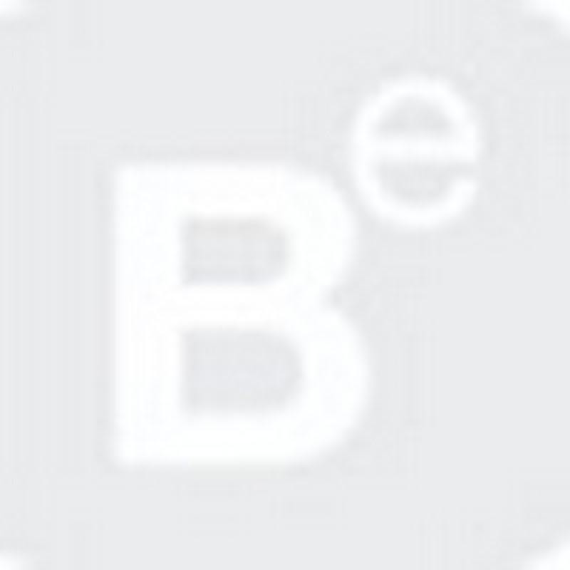 Business Services Group