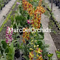 Marc Del Orchids logo