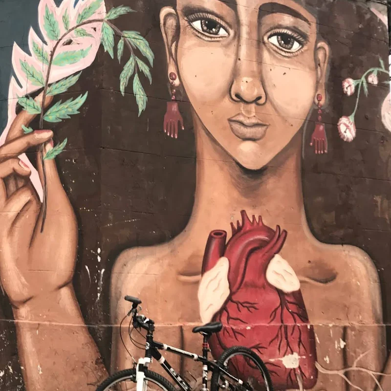 LA BICI Galeria Cultural