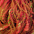 o50Sm3ddqqY-channel-avatar-The Yarnalist