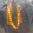 @vinodtrivedi65