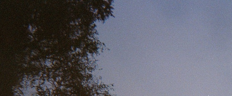 Artist Thumbnail
