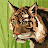 @user-pp9ls8dv6f