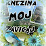 awR0KWLZ5XQ-channel-avatar-KNEZINA MOJ ZAVICAJ