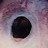 youtube avatar
