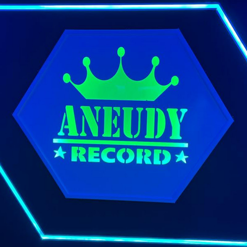 Aneudy Record