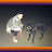 @raphaelbugeaud1872's avatar