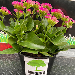 Thumbnail of related channel