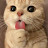 @5.04_jun5