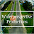 Widerperspective Productions
