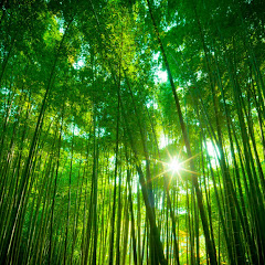 Natural medicine avatar