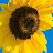 @daveborchard2019's avatar