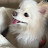 @김미경-l3q5k