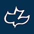ddVOFVbezG0-channel-avatar-Calvary Chapel Bartlett