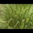 _q4eUF79t5s-channel-avatar-fschnell