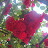 @user-sn6oi6mg3r