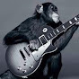 FingerstyleGuitarists.com