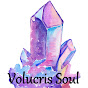 Volucris Soul logo