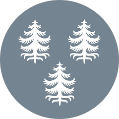 Kuhmon kaupunki