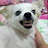 @김황도-s7t