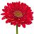@hennywan524's avatar