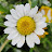 @krystianmaniek869 Avatar
