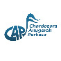 Chordozora Anugerah Perkasa