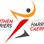 Carmarthen Harriers - Harriers Caerfyrddin logo
