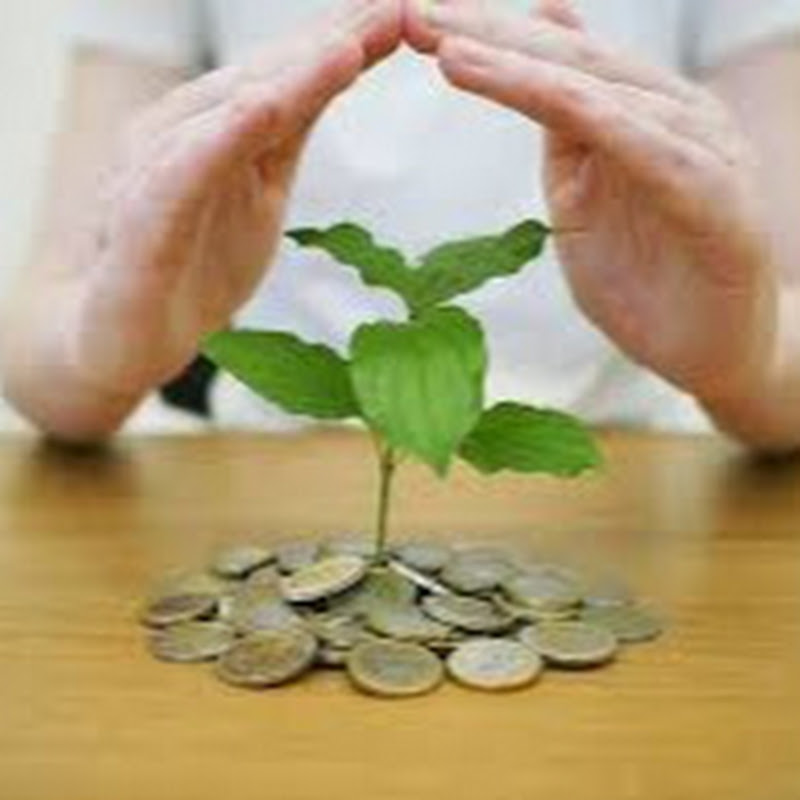 InvestorDmitri