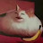 @gadget4208's avatar