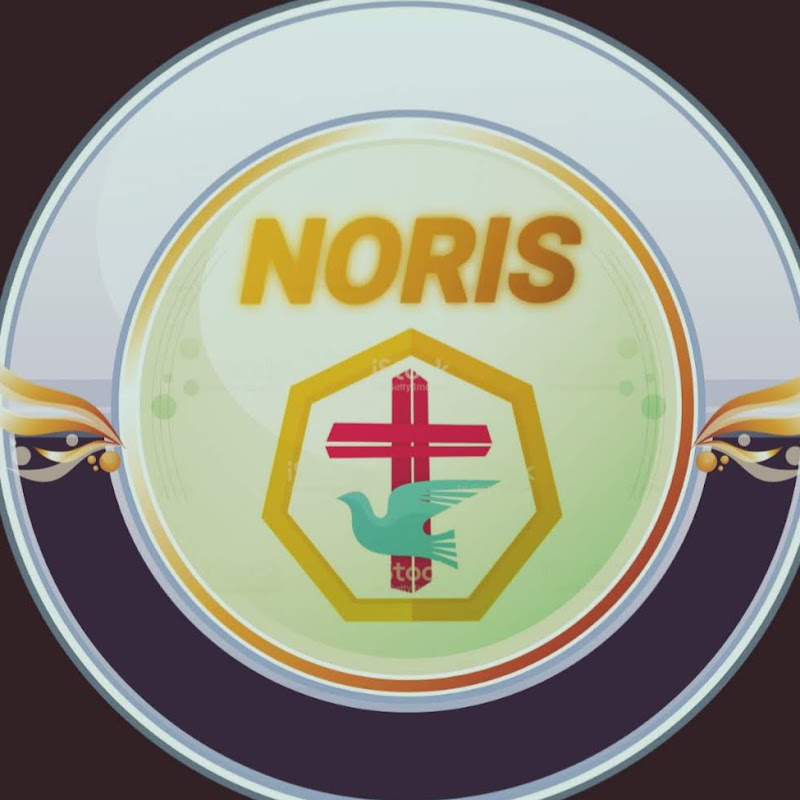Ovidiu Ștefan Zis Noris