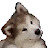 @braeden2x584