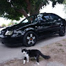Автор