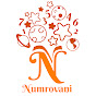 NumroVani logo