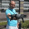 Автор