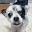 @YoujinLee-gn5rg