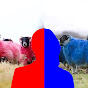 Sheep Head Twins logo
