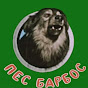 pes barbos Avatar