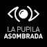 yJI_98hMkbo-channel-avatar-La pupila asombrada
