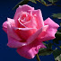 0KKVDk98MFE-channel-avatar-marsny 1992