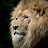 @00Dogar's avatar